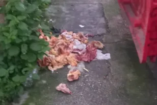 Πάτρα: Πεταμένα κοτόπουλα στο κέντρο – Απογοητευτική εικόνα στην Κανακάρη και Τριών Ναυάρχων