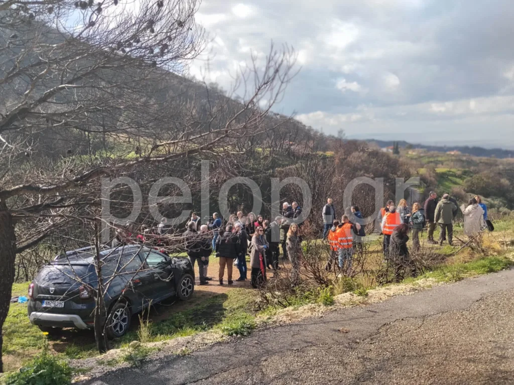 Στην Πάτρα ο υπουργός Περιβάλλοντος Σταύρος Παπασταύρου: Επιθεώρησε έργα αποκατάστασης στις πυρόπληκτες περιοχές ΒΙΝΤΕΟ