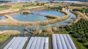 Σε οριακή κατάσταση στην Ηλεία, «πνίγηκαν» καλλιέργειες και οικισμοί, πλημμύρισαν Πηνειός και Αλφειός, ΦΩΤΟ