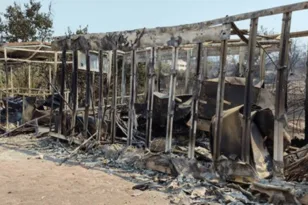 Χίος: Άνοιξε η πλατφόρμα myBusinessSupport για τις πυρόπληκτες επιχειρήσεις του 2025