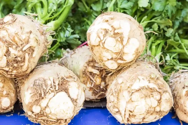 Αυτή είναι η ρίζα-υπερτροφή που (μας) προστατεύει από οστεοπόρωση και διαβήτη