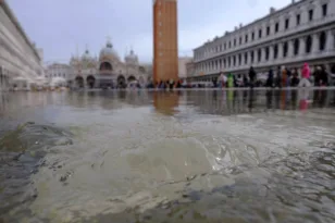 «Acqua alta» στη Βενετία: Το σπάνιο φαινόμενο που γέμισε ψάρια τους δρόμους ΒΙΝΤΕΟ