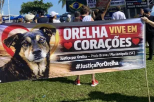 Βραζιλία: Διαδηλώσεις μετά την κακοποίηση μέχρι θανάτου αδέσποτου σκύλου ΒΙΝΤΕΟ