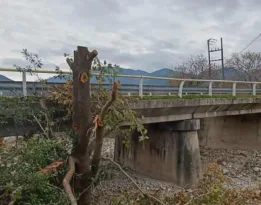 Αιγιάλεια: Η Άνω Ζήρια ζητά ανάκληση άδειας για αιολικό σταθμό - Εφτασε η καταγγελία στην Αποκεντρωμένη