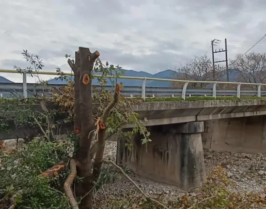 Αιγιάλεια: Η Άνω Ζήρια ζητά ανάκληση άδειας για αιολικό σταθμό - Εφτασε η καταγγελία στην Αποκεντρωμένη