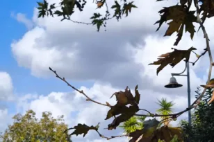 Ανοιξιάτικο σκηνικό μέχρι τα μέσα της εβδομάδας, βροχές και πτώση της θερμοκρασίας μετά