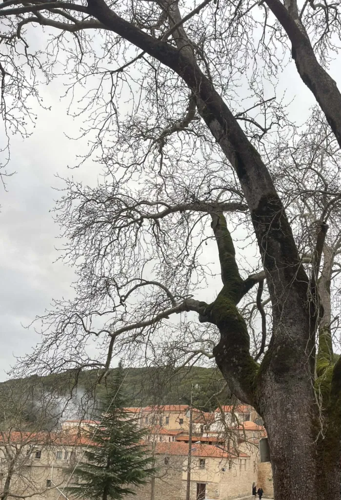 Στην Ιερά Μονή Παναγίας Ομπλού ο Σύλλογος Αρκάδων Πάτρας για τους Δ΄ Χαιρετισμούς ΦΩΤΟ