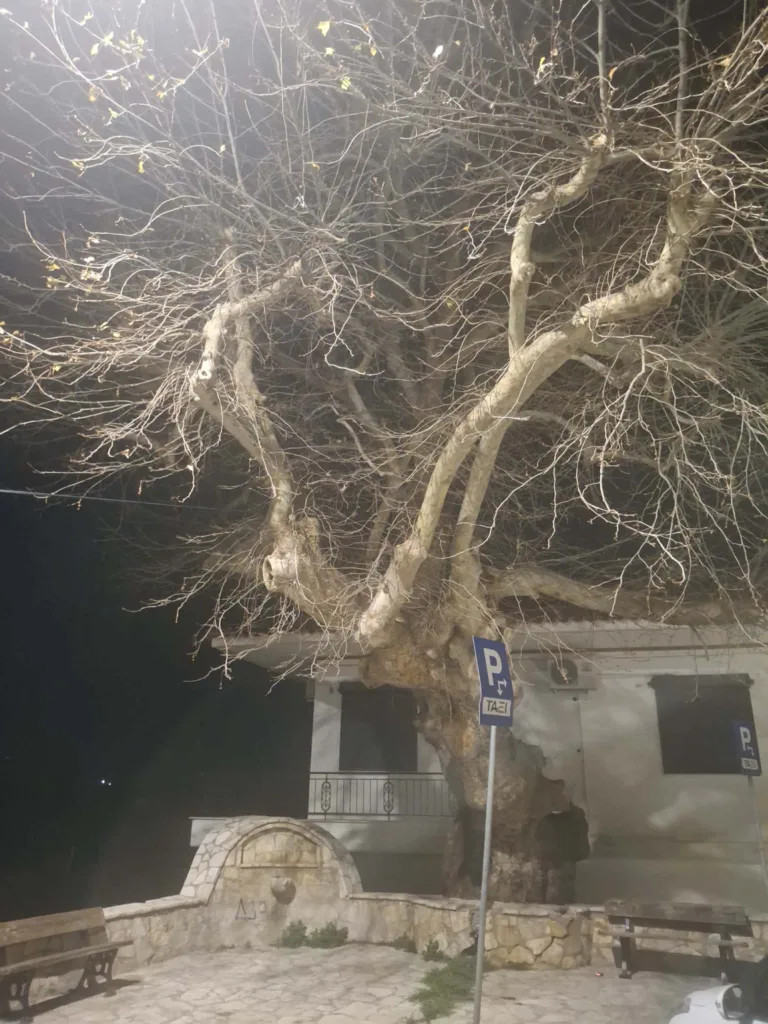 Θάνατος στο παλιό νεκροταφείο Σαραβαλίου: Μαχαίρωμα την «ώρα του διαβόλου» Θάνατος στο παλιό νεκροταφείο Σαραβαλίου: Μαχαίρωμα την «ώρα του διαβόλου»