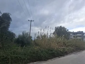 Τι έγινε στη συνάντηση Κώστα Πελετίδη-ΝΕΠ για το νέο κολυμβητήριο