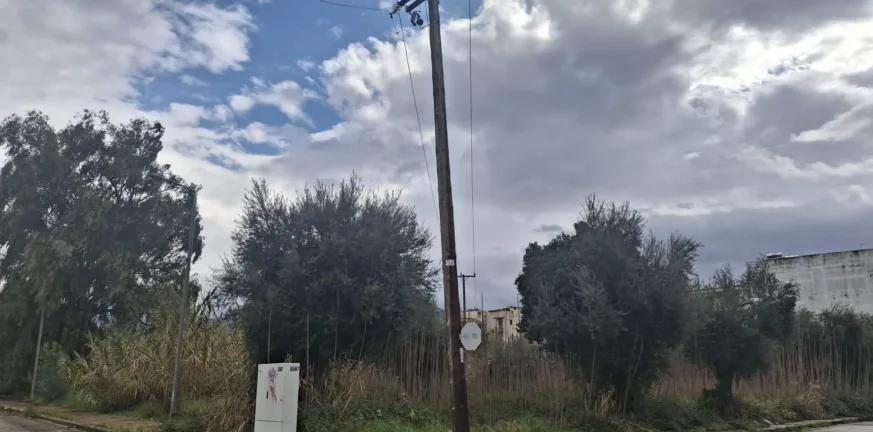 Τι έγινε στη συνάντηση Κώστα Πελετίδη-ΝΕΠ για το νέο κολυμβητήριο