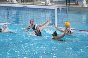 Θετικά στοιχεία η ΝΕΠ στην ήττα από Αλιμο - Φωτογραφίες/δηλώσεις/βίντεο