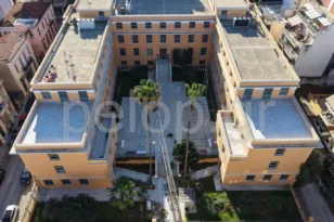 Εντυπωσιακή συντήρηση στους πανύψηλους φοίνικες στο Δημαρχείο Πάτρας – ΒΙΝΤΕΟ από drone