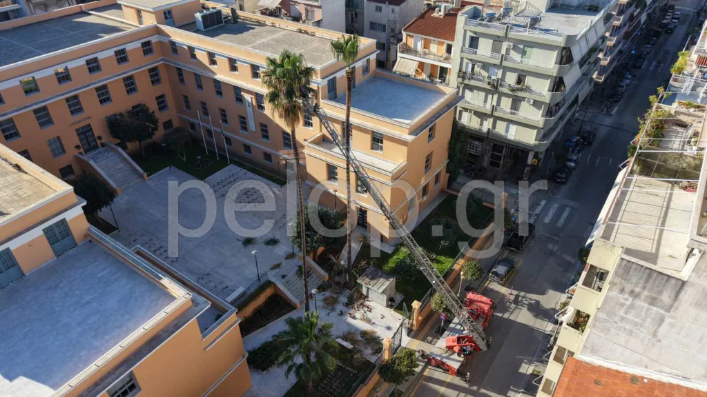 Εντυπωσιακή συντήρηση στους πανύψηλους φοίνικες στο Δημαρχείο Πάτρας - ΒΙΝΤΕΟ από drone