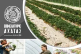 Το Επιμελητήριο Αχαΐας ενισχύει τον αγροτικό τομέα με το νέο Αγροτικό Τμήμα