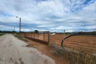 Δυτική Αχαΐα: «Στο σφυρί» πάλι τα 100 στρ. παραθαλάσσιου φιλέτου του «Ελληνα Εσκομπάρ»