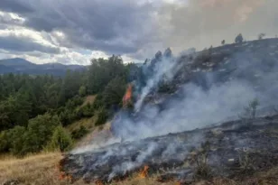 Φωτιά στην Αρραβωνίτσα Αιγιαλείας – Ισχυρές πυροσβεστικές δυνάμεις στο σημείο
