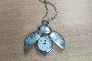 Ηλεία: Εξιχνιάστηκε κλοπή κοσμημάτων αξίας 50.000 ευρώ – Τα έκρυβε σε κορμό δέντρου