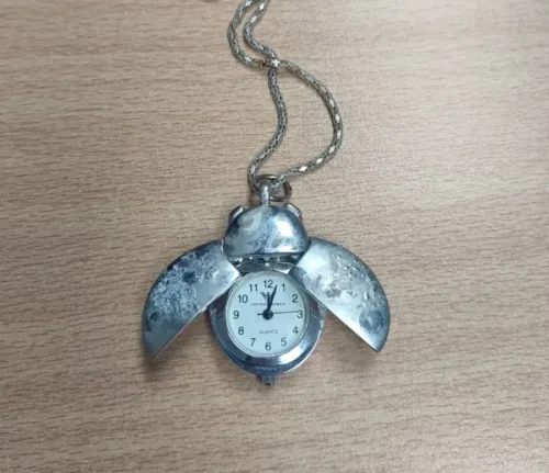 Ηλεία: Εξιχνιάστηκε κλοπή κοσμημάτων αξίας 50.000 ευρώ – Τα έκρυβε σε κορμό δέντρου