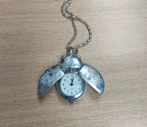 Ηλεία: Εξιχνιάστηκε κλοπή κοσμημάτων αξίας 50.000 ευρώ – Τα έκρυβε σε κορμό δέντρου