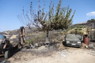Πάτρα-Δυτική Αχαΐα: Τι άφησαν πίσω οι πυρκαγιές του καλοκαιριού; Πανεπιστήμιο Πατρών και Δημόκριτος βάζουν στο μικροσκόπιο τις επιπτώσεις