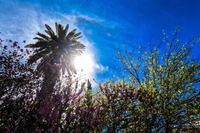 Το 2025 η θερμοκρασία έπιασε ταβάνι, τι αναμένεται να συμβεί το 2026