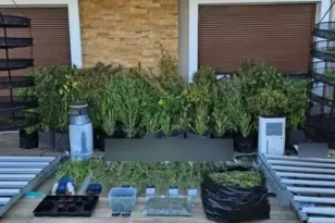 Είχαν κάνει μονοκατοικία εργαστήριο υδροπονικής κάνναβης! ΒΙΝΤΕΟ