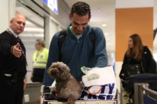 Η ελληνική πτήση επαναπατρισμού με τα κατοικίδια έγινε διεθνές θέμα - Συγκίνηση και αφιερώματα στα ξένα ΜΜΕ