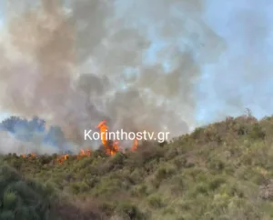 Σοφιανά Κορινθίας: Ξέσπασε πυρκαγιά, καλύτερη τώρα η εικόνα, ΒΙΝΤΕΟ