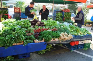 Διεύρυνση των φοροελαφρύνσεων για ελεύθερους επαγγελματίες