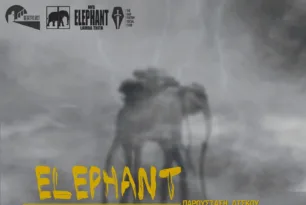 Πάτρα: All day event στο Θέατρο Act με την παρουσίαση του άλμπουμ “ELEPHANT”