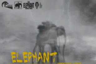 Πάτρα: All day event στο Θέατρο Act με την παρουσίαση του άλμπουμ “ELEPHANT”