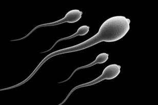 Έρευνα: Γιατί η συχνή εκσπερμάτιση «νικά» την αποχή στη μάχη της γονιμότητας