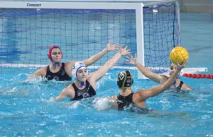 Θετικά στοιχεία η ΝΕΠ στην ήττα από Αλιμο - Φωτογραφίες/δηλώσεις/βίντεο