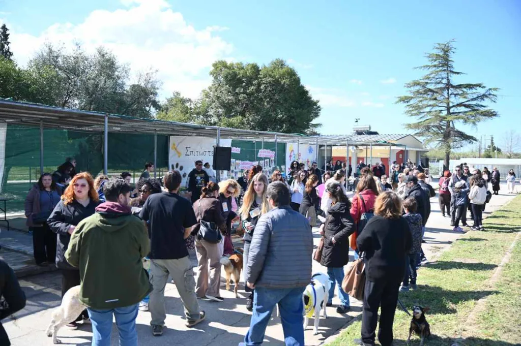 Πάτρα: Πλήθος κόσμου στην εκδήλωση του Δήμου για τα αδέσποτα