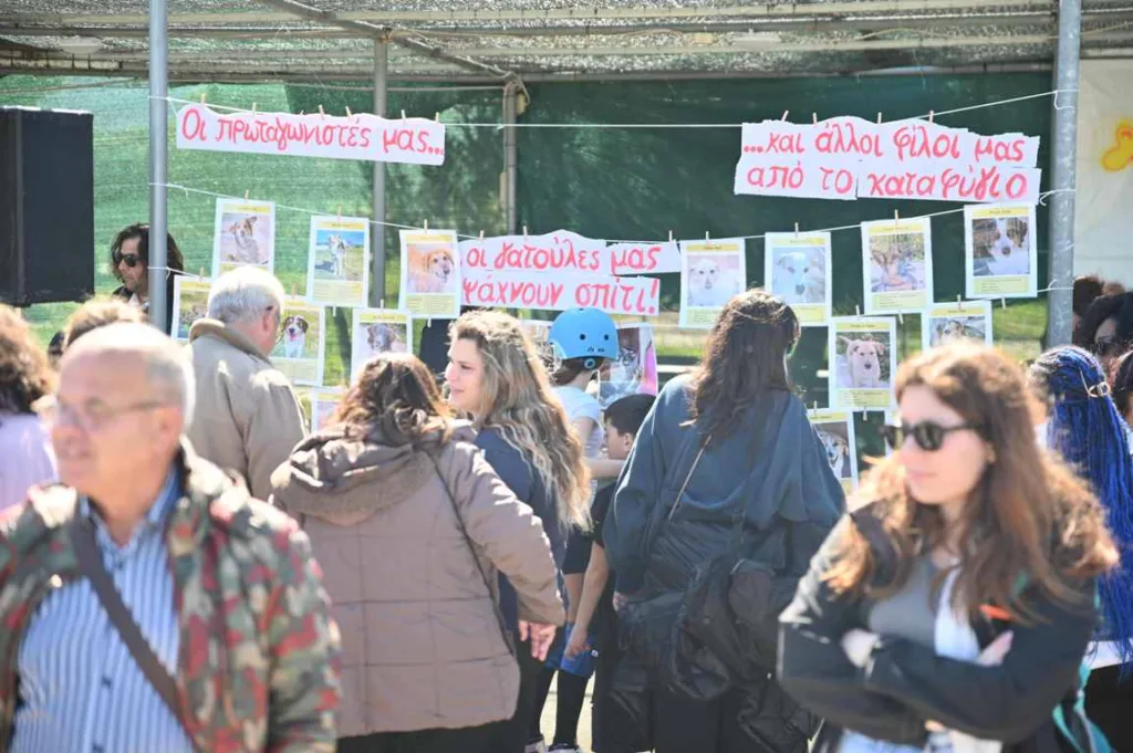 Πάτρα: Πλήθος κόσμου στην εκδήλωση του Δήμου για τα αδέσποτα