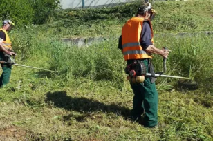 Πάτρα – Πολιτική Προστασία: Αποψιλώσεις στο 40% της δημοτικής περιουσίας, έρχονται 40 προσλήψεις