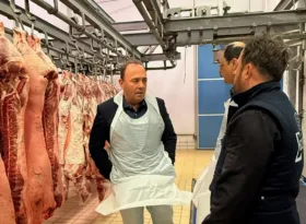 Αυξημένα μέτρα για ζωονόσους στη Δυτική Ελλάδα: 40.000 ελέγχοι πριν το σφαγείο