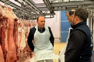 Αυξημένα μέτρα για ζωονόσους στη Δυτική Ελλάδα: 40.000 ελέγχοι πριν το σφαγείο