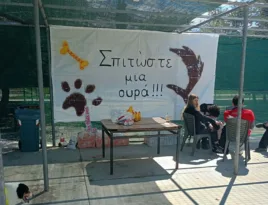 Πάτρα - σπιράλ: Ασύλληπτη προπαγάνδα στα Δελτία Τύπου του Δήμου