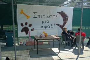 Πάτρα – σπιράλ: Ασύλληπτη προπαγάνδα στα Δελτία Τύπου του Δήμου