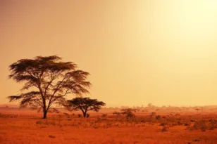Αφρική: Πραγματικά έχει αρχίσει να διαχωρίζεται στα δύο!