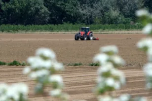 ΕΛΓΑ: Πληρώνονται σήμερα αποζημιώσεις 73 εκατ. ευρώ για ζημιές του 2025