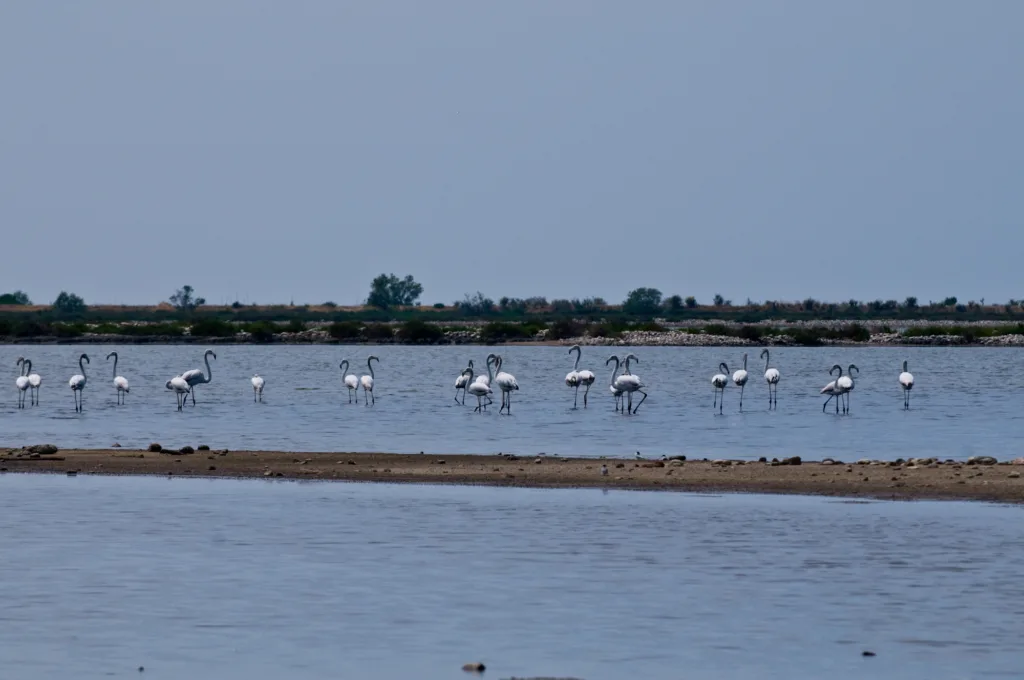 Μεσολόγγι: Πρωτομαγιά αλλιώς, ανάμεσα στην ιστορία και τη φύση ΦΩΤΟ