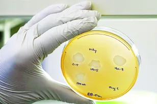 Πάτρα: Θρέφουμε την αντοχή στα μικρόβια – Τι έδειξαν τα λύματα της πόλης