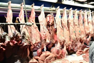 Αχαΐα: Πάσχα με επάρκεια και ελέγχους – Ποια η τιμή πώλησης του αρνιού