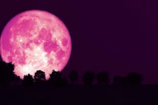 Ροζ Φεγγάρι στις 2 Απριλίου: Ποια ζώδια θα νιώσουν πιο έντονα την ενέργειά του