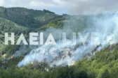 Φωτιά σε δασική έκταση στο Λέπρεο Ηλείας – Ισχυρές πυροσβεστικές δυνάμεις στο σημείο