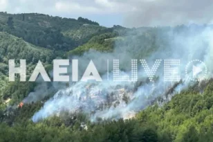Φωτιά σε δασική έκταση στο Λέπρεο Ηλείας – Ισχυρές πυροσβεστικές δυνάμεις στο σημείο