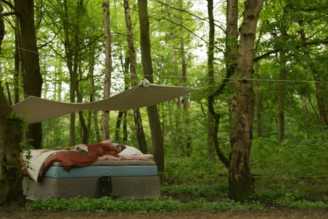 Καλύτερος ύπνος: Γιατί η φύση μπορεί να «ρυθμίσει» ξανά το σώμα