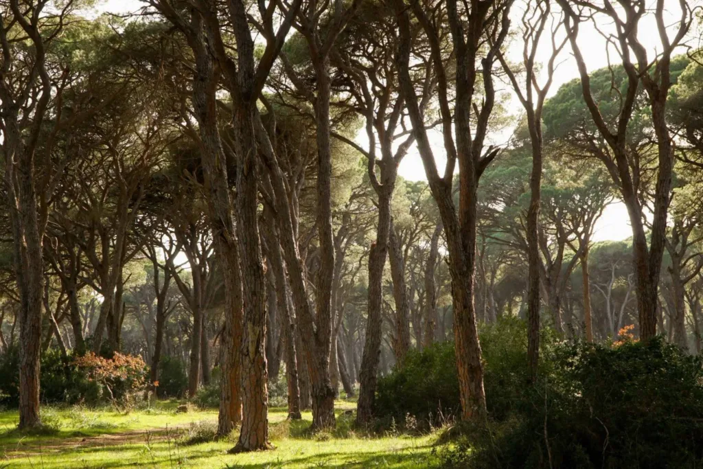 Πρωτομαγιά: 4 μαγευτικές αποδράσεις μια ανάσα από την Πάτρα ΦΩΤΟ